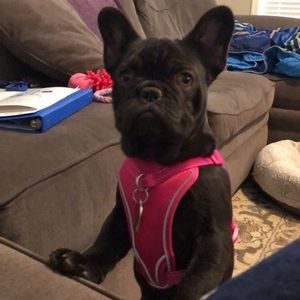 Meet your Posher, Jay